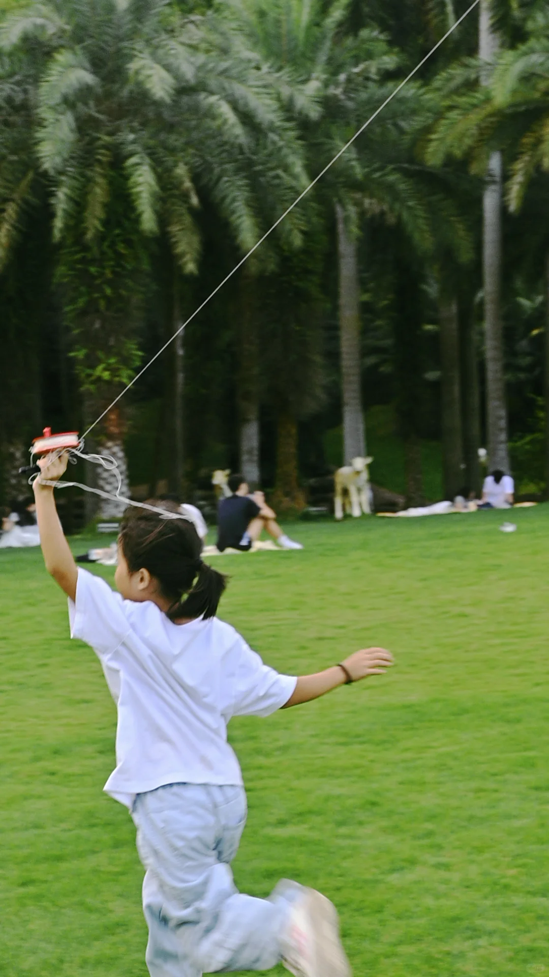 南宁｜🍃醒时见绿