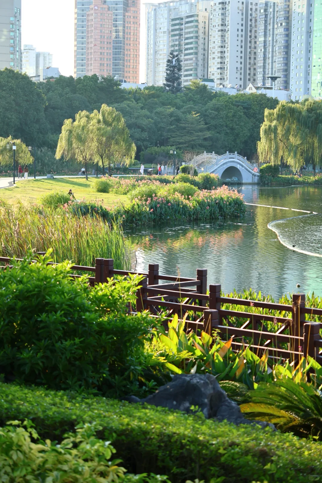 南宁这周的天气也太棒啦