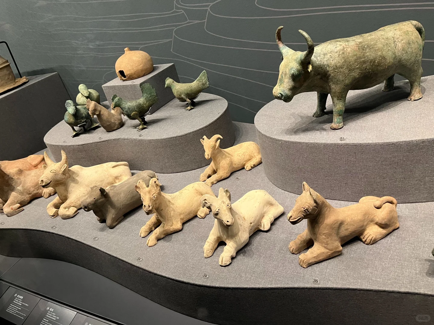 南宁的榴莲好便宜！