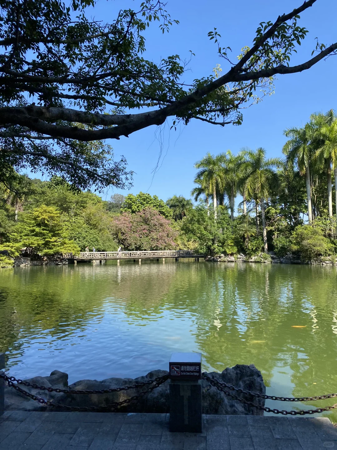 南宁可太好玩啦