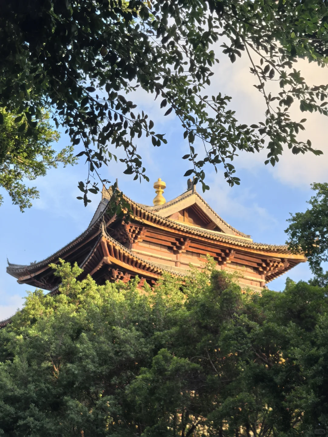 爱上南宁像呼吸一样简单