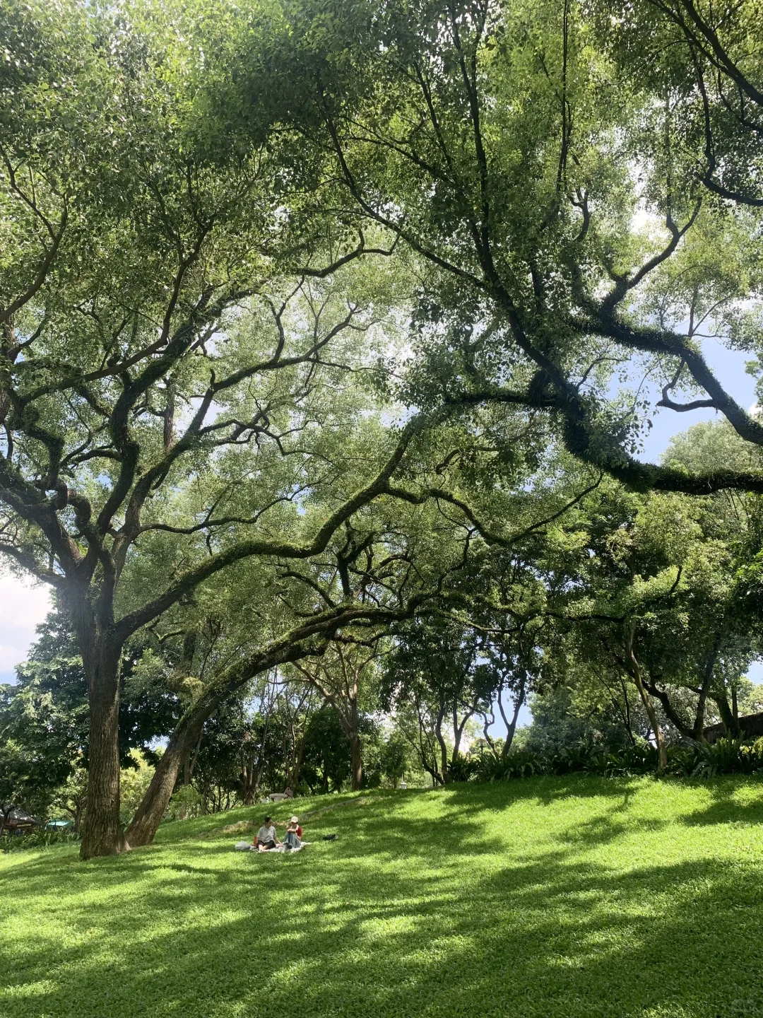 南宁人民公园｜一个人拍出人生照片*॰🧚🏻 𓇢