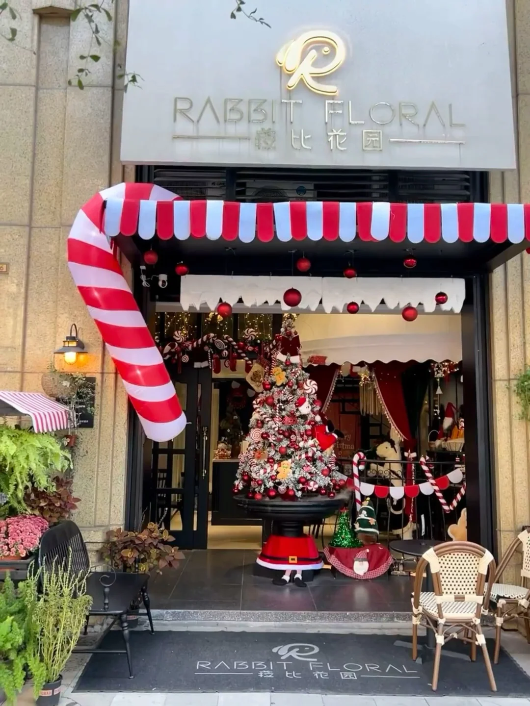 🌲已经开始期待2025南宁的圣诞节了。。