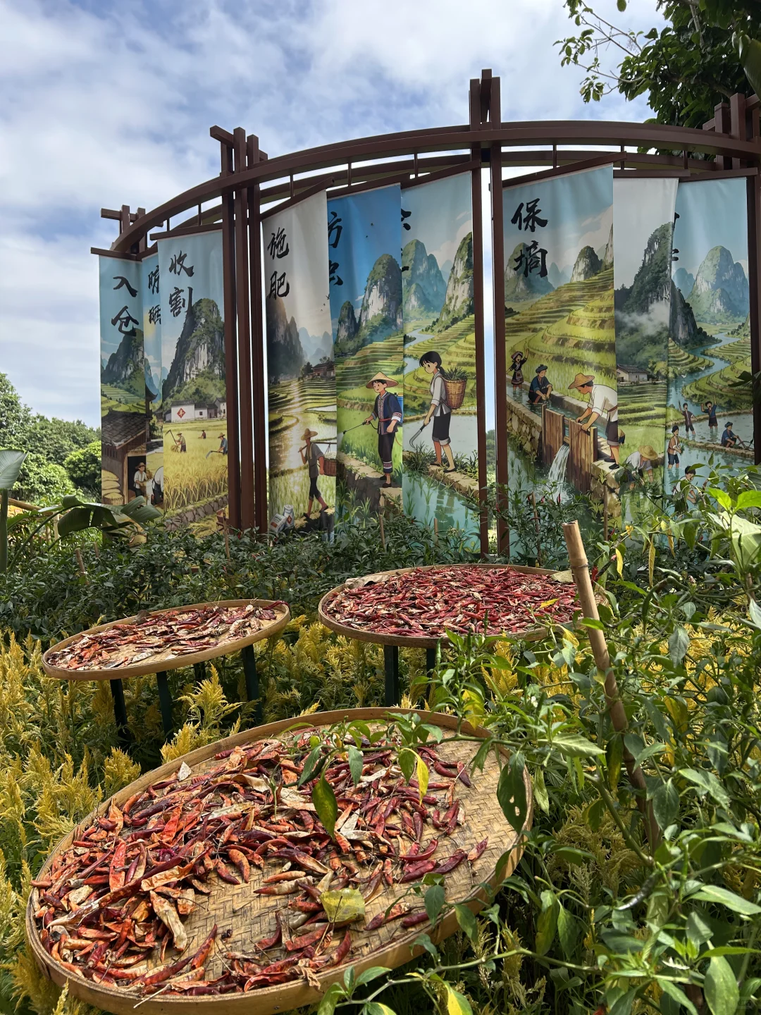 南宁要进入最佳赏味期了