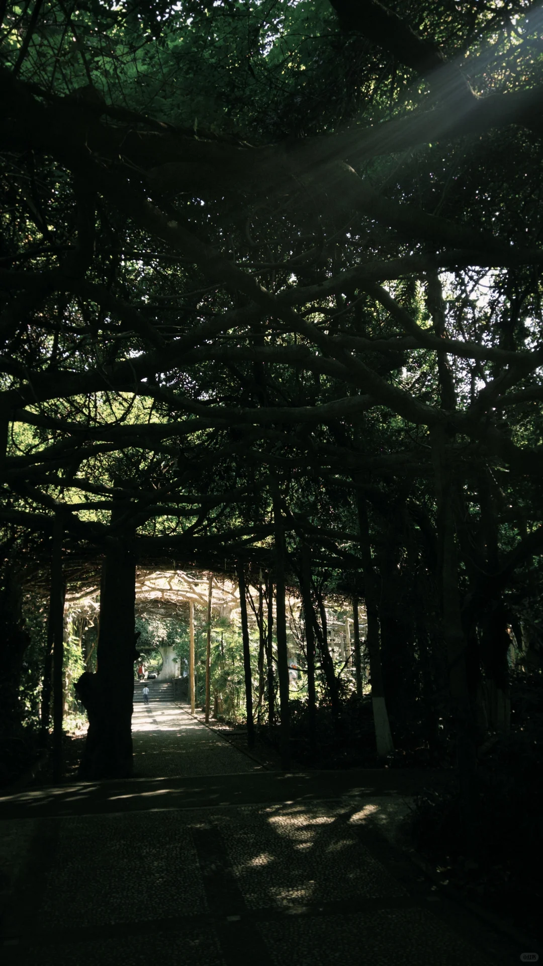 南宁这么好的天气该出去逛逛啦