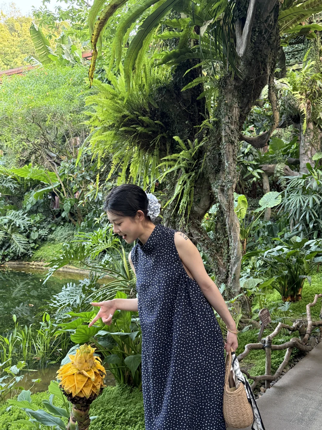 南宁-北海五天四晚结束啦 说点大实话