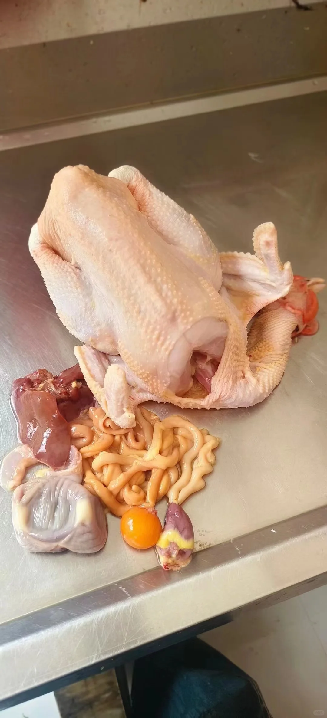 南宁土鸡多少钱一斤合适