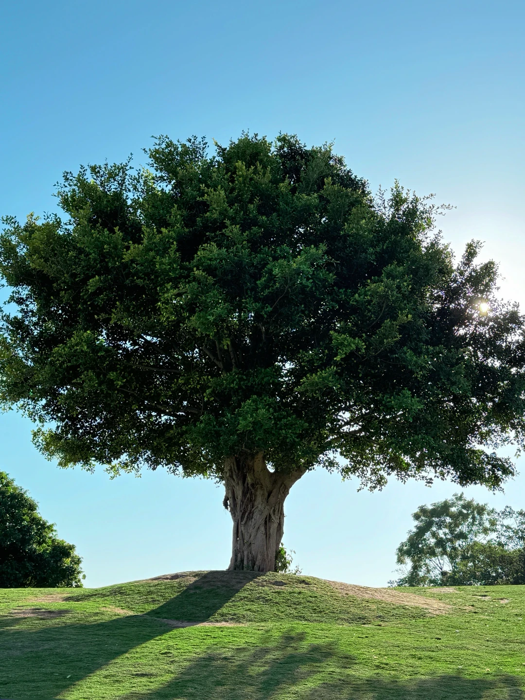 南宁青秀山🏔️