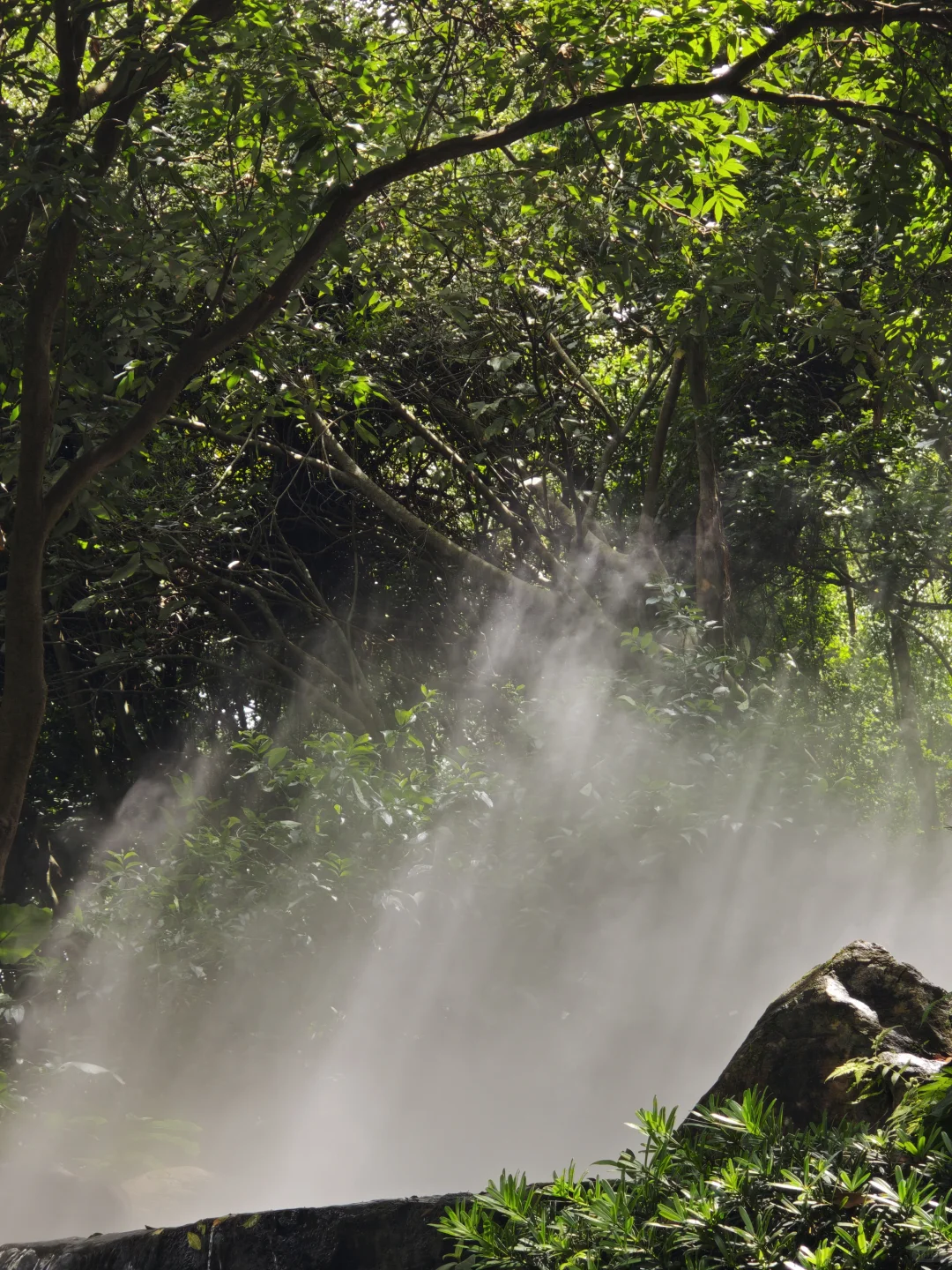 南宁要进入最佳赏味期了