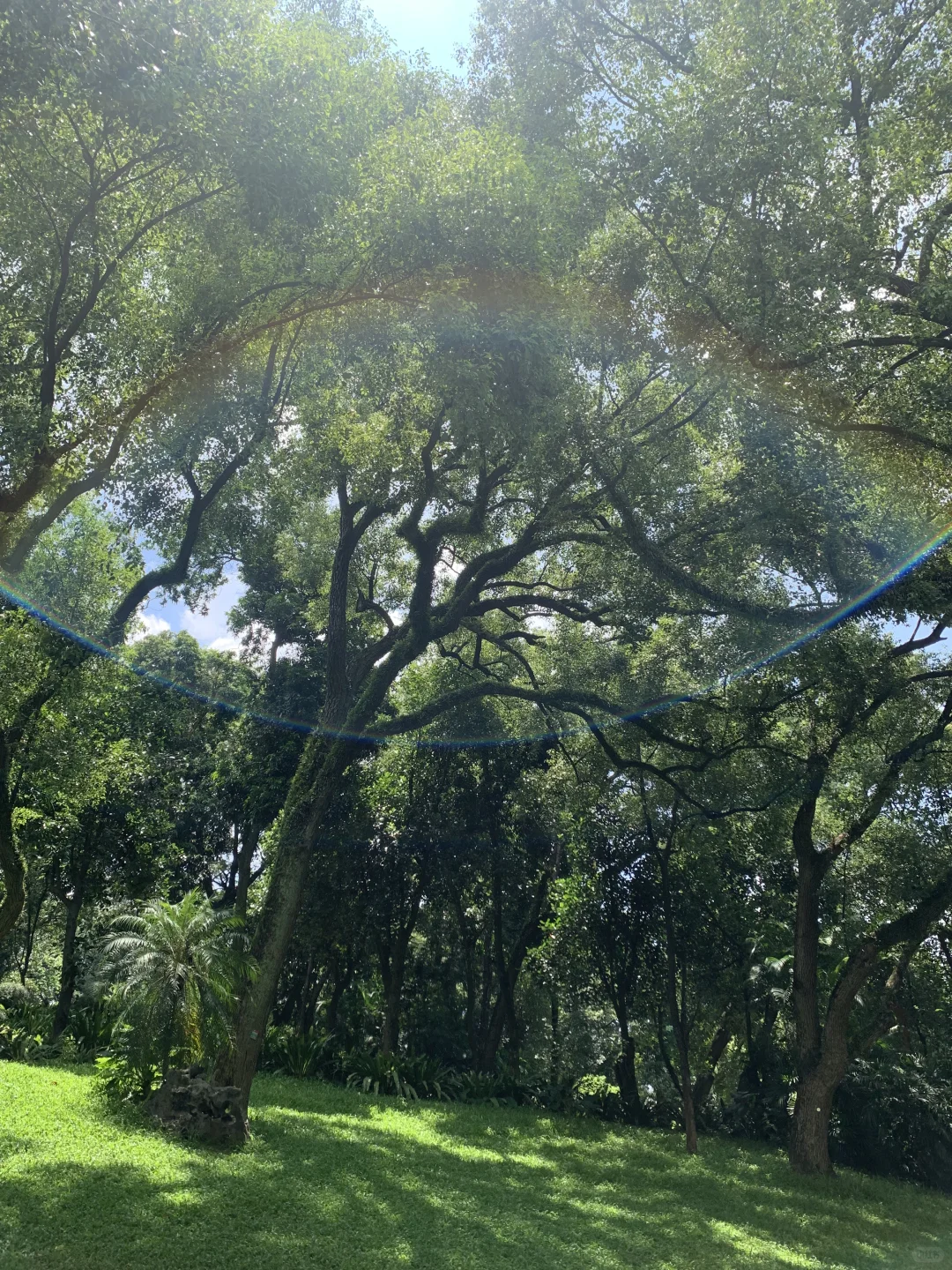 南宁人民公园｜一个人拍出人生照片*॰🧚🏻 𓇢