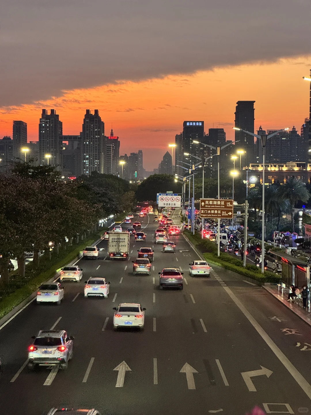 可惜你不是南宁的 也不懂这一刻的感受🍂