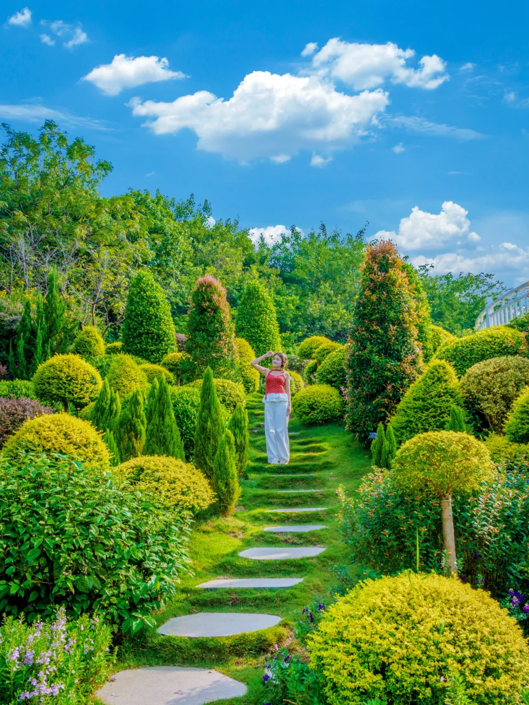 南宁青秀山最美季节！4小时不累腿路线来啦