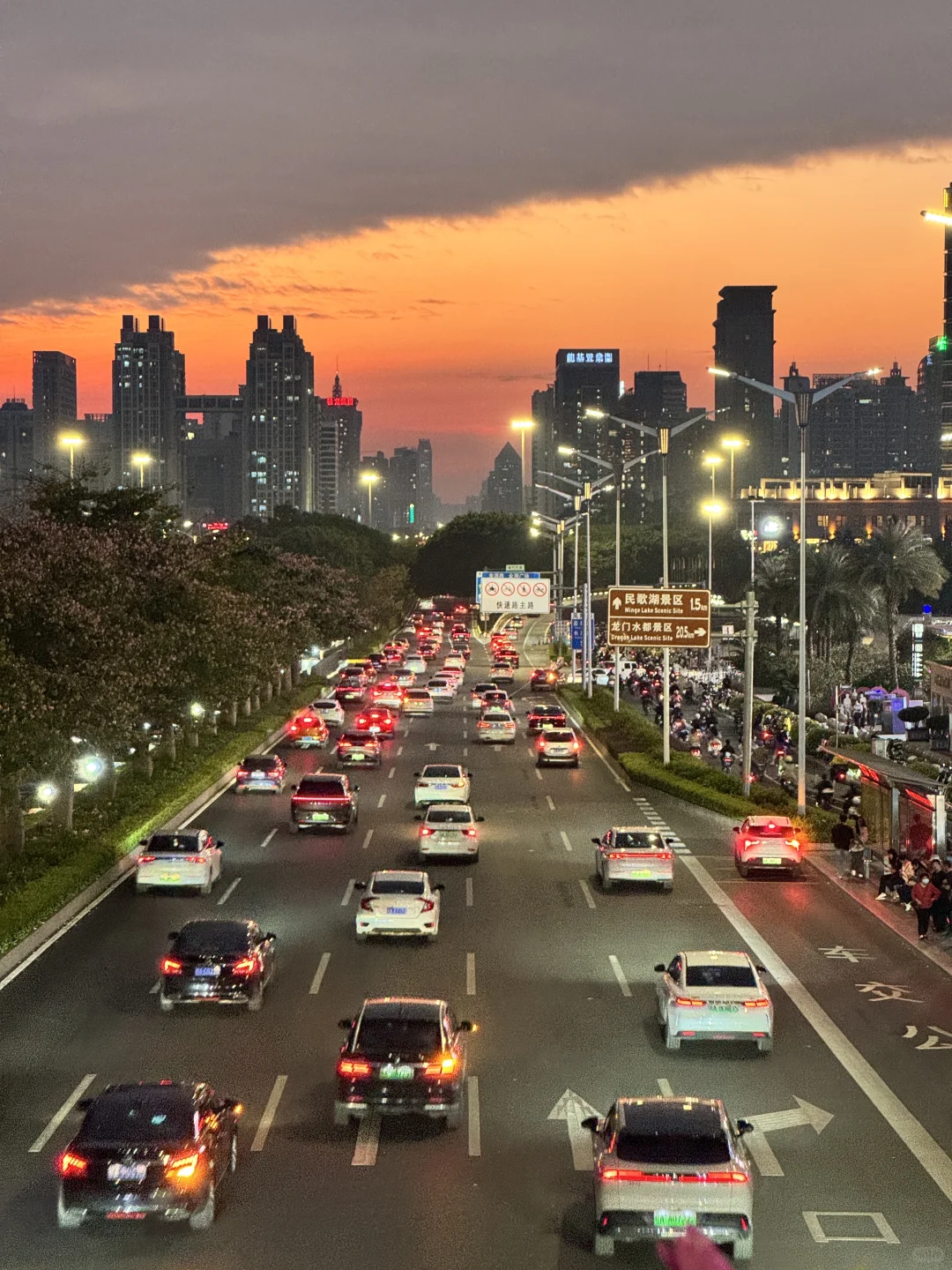 可惜你不是南宁的 也不懂这一刻的感受🍂