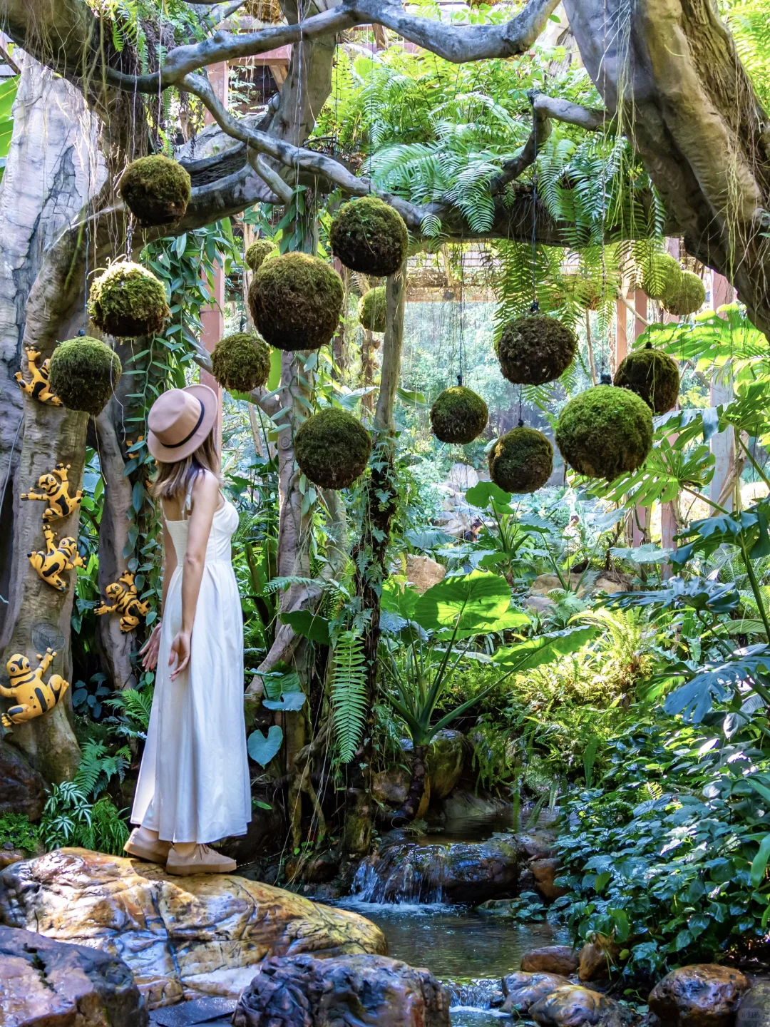 南宁青秀山最美季节！4小时不累腿路线来啦