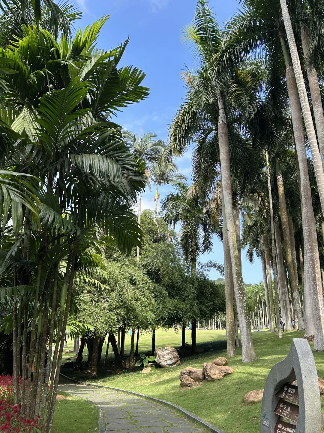 南宁要进入最佳赏味期了