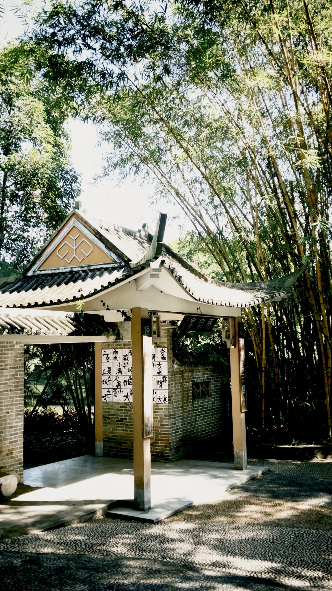 南宁这么好的天气该出去逛逛啦