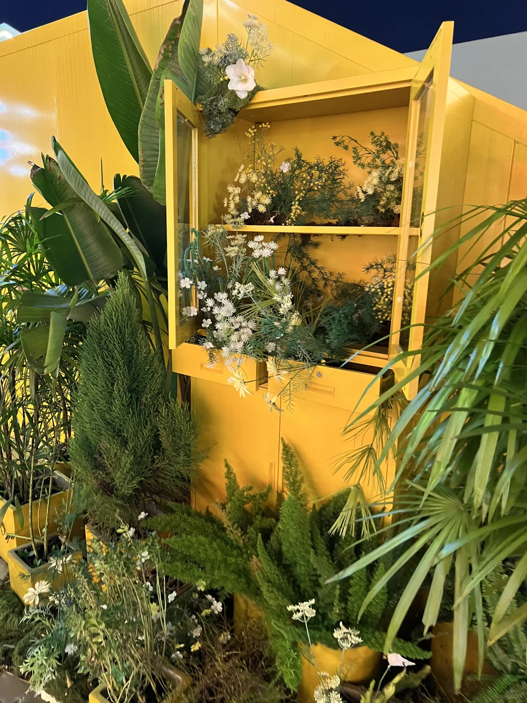 南宁新建打卡地