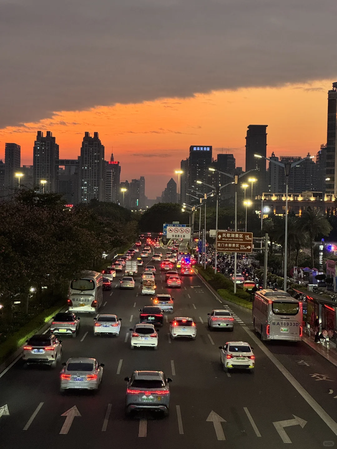 可惜你不是南宁的 也不懂这一刻的感受🍂