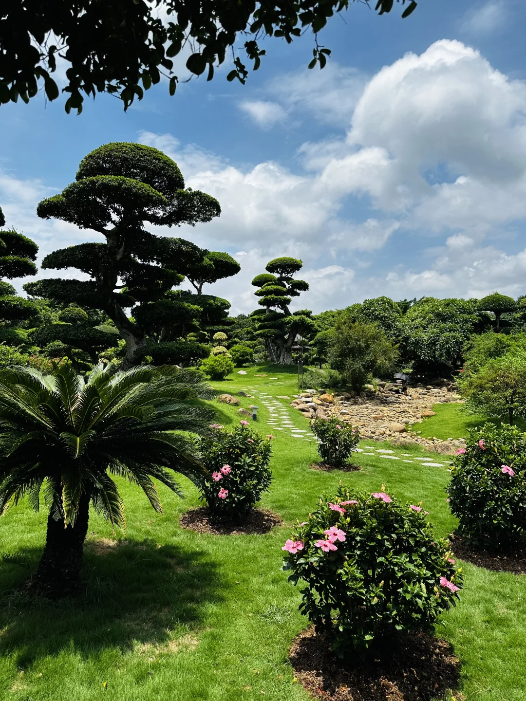 南宁的园子我太喜欢了