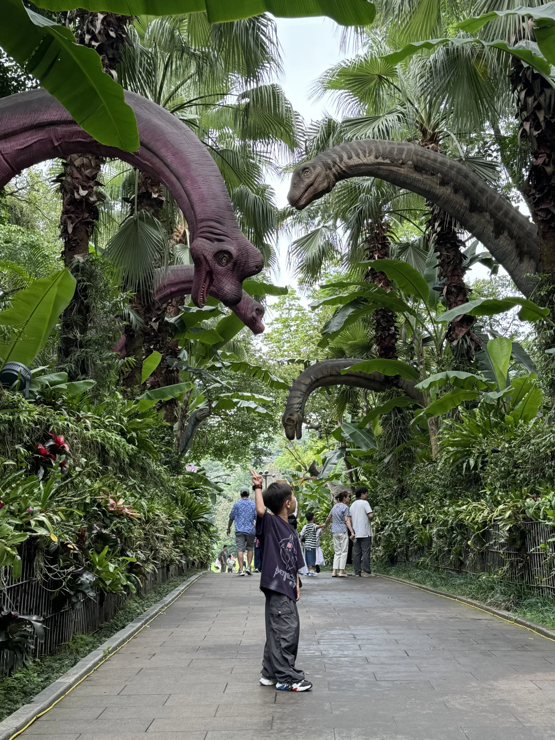 有多少人来青秀山是为了这张📷