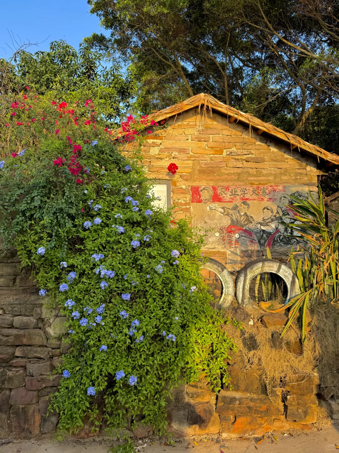 防城港 | 藏在海边的梦幻艺术村落✨