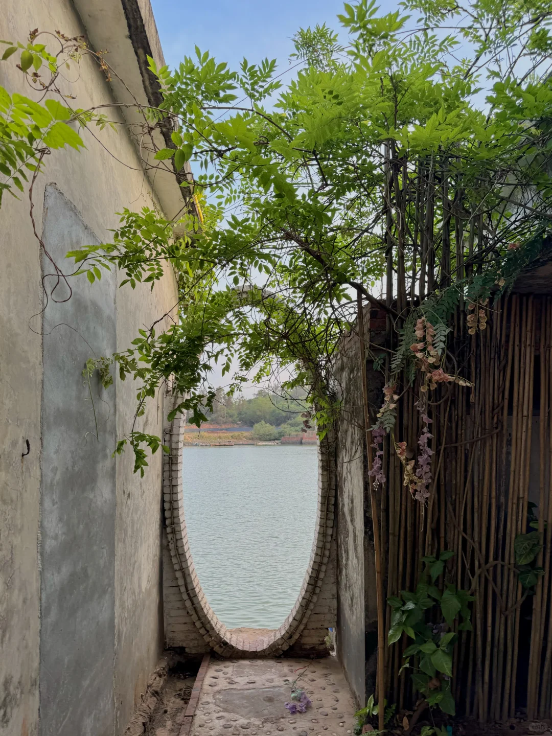 防城港 | 藏在海边的梦幻艺术村落✨