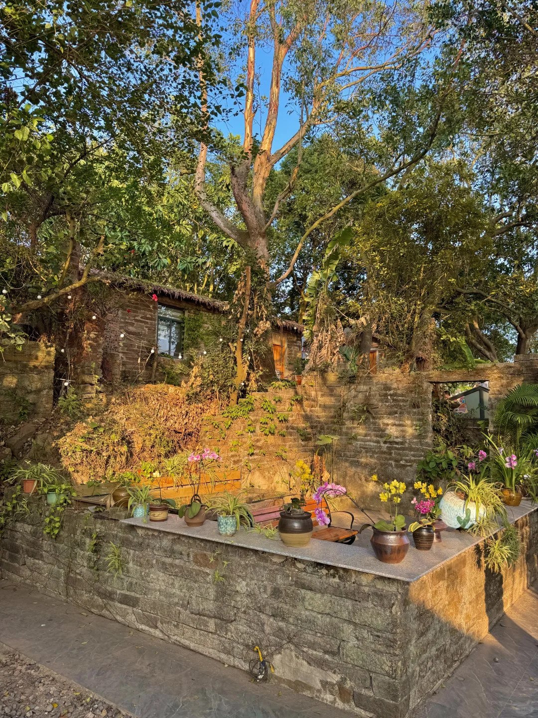 防城港 | 藏在海边的梦幻艺术村落✨