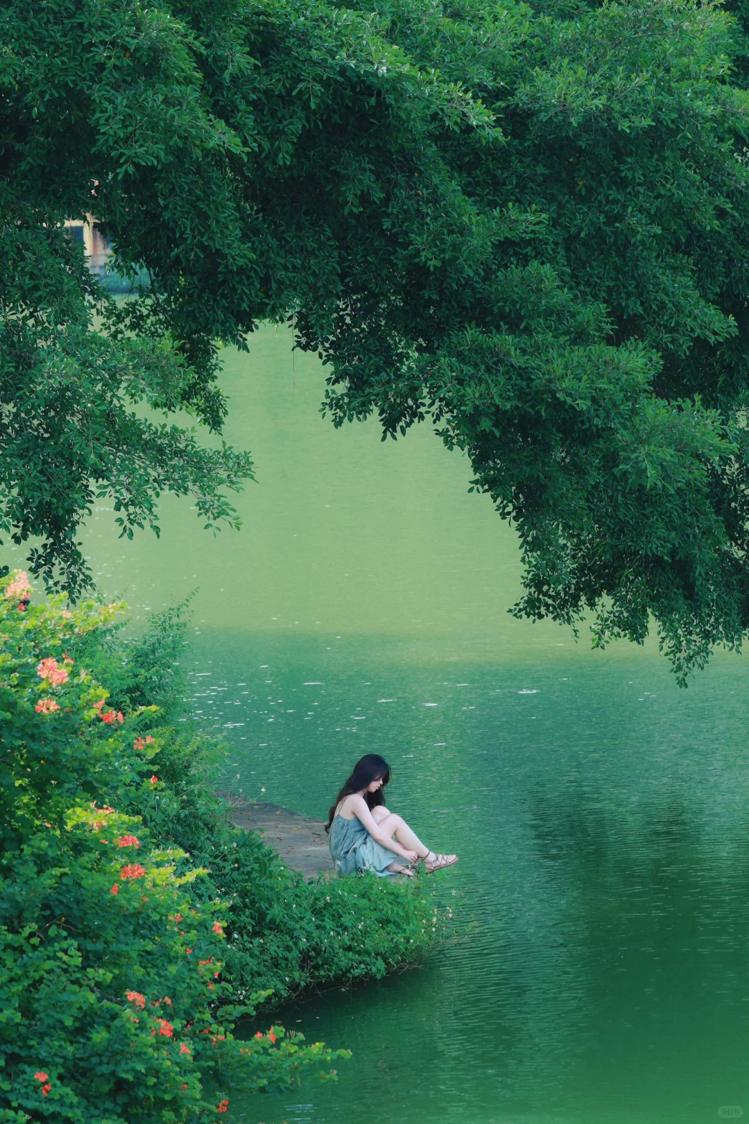 柳州｜5块钱拍到了人生照片