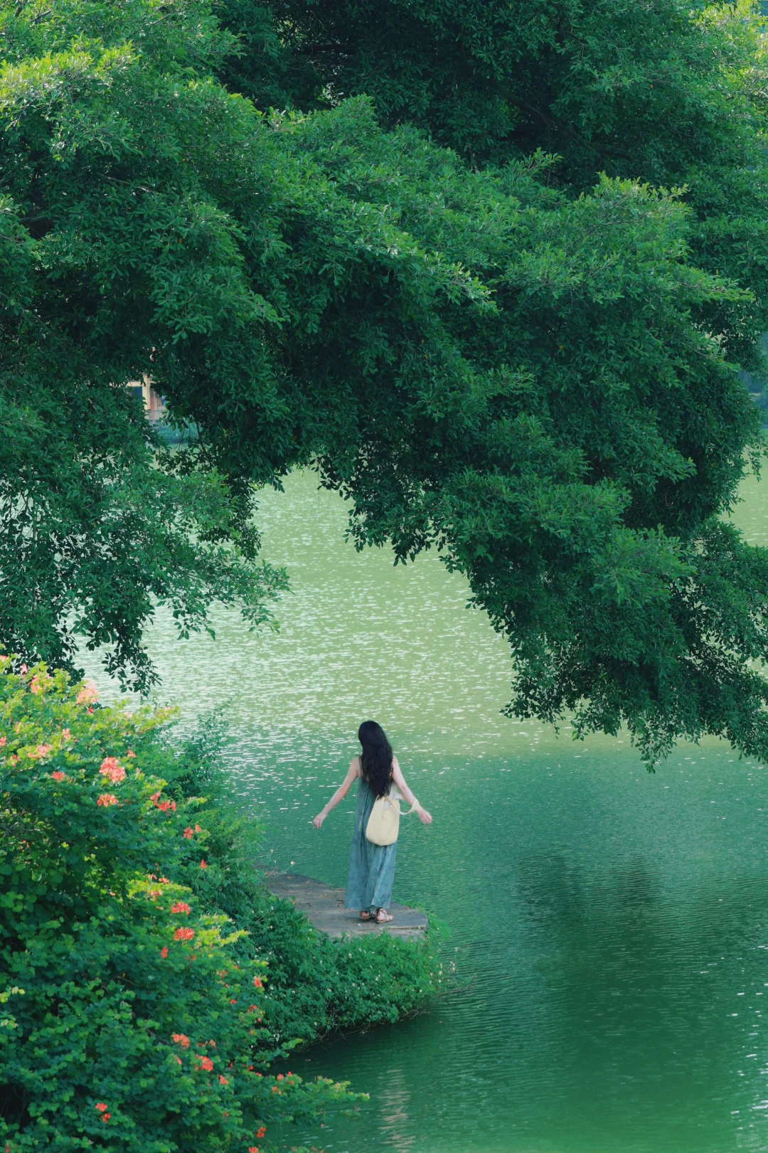 柳州｜5块钱拍到了人生照片