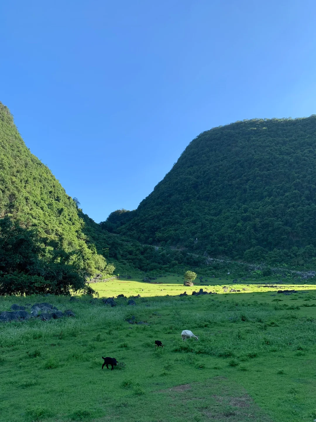 来柳州 一定要留一天时间给鹿寨！