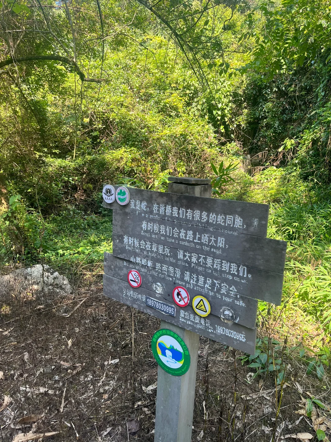 来柳州 一定要留一天时间给鹿寨！