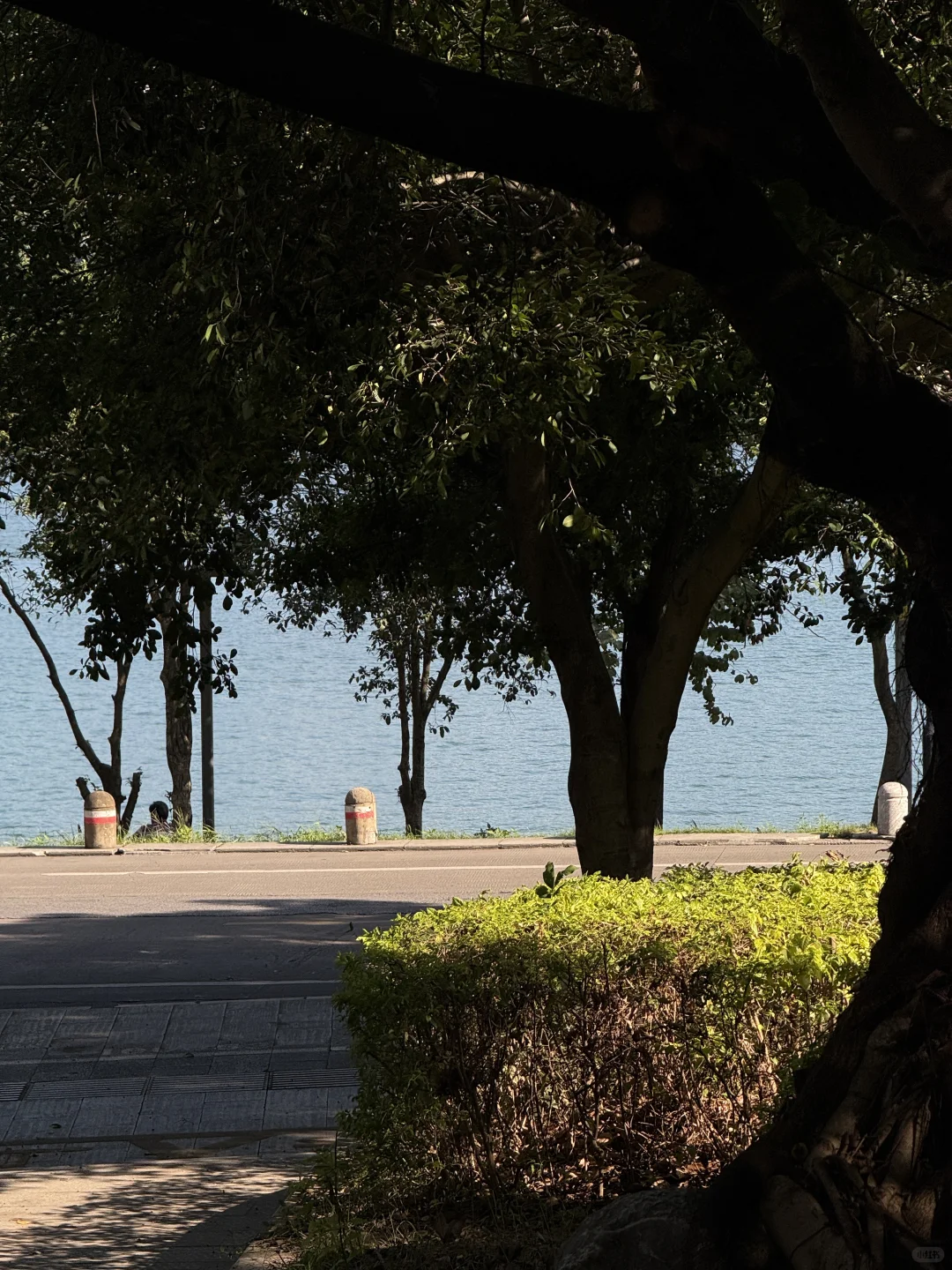 柳州！！！真是一个非常舒服适合宜居的城市。。。