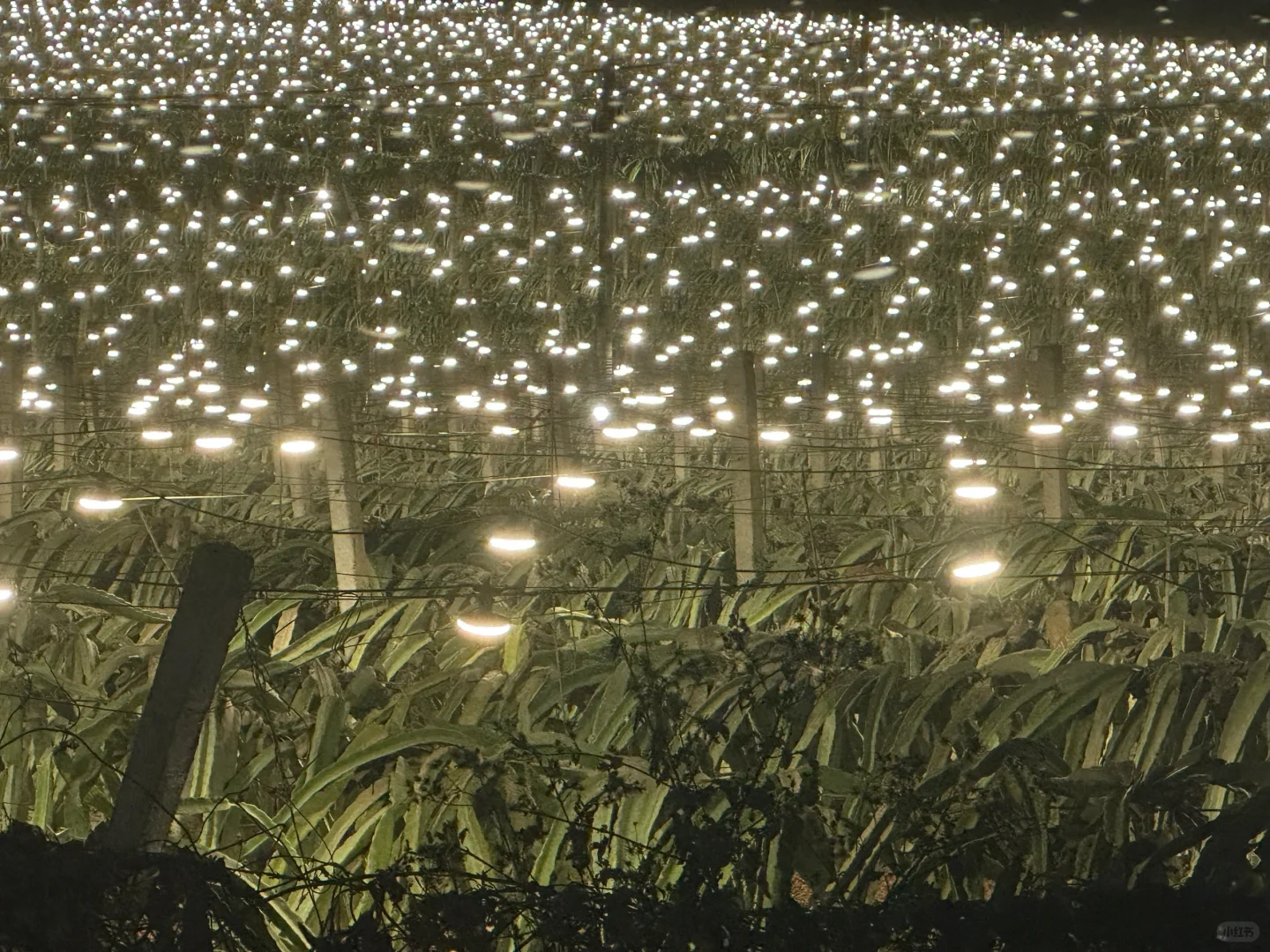 🌆北京✈南宁 | 两天一夜超嗨吃玩全记录✨