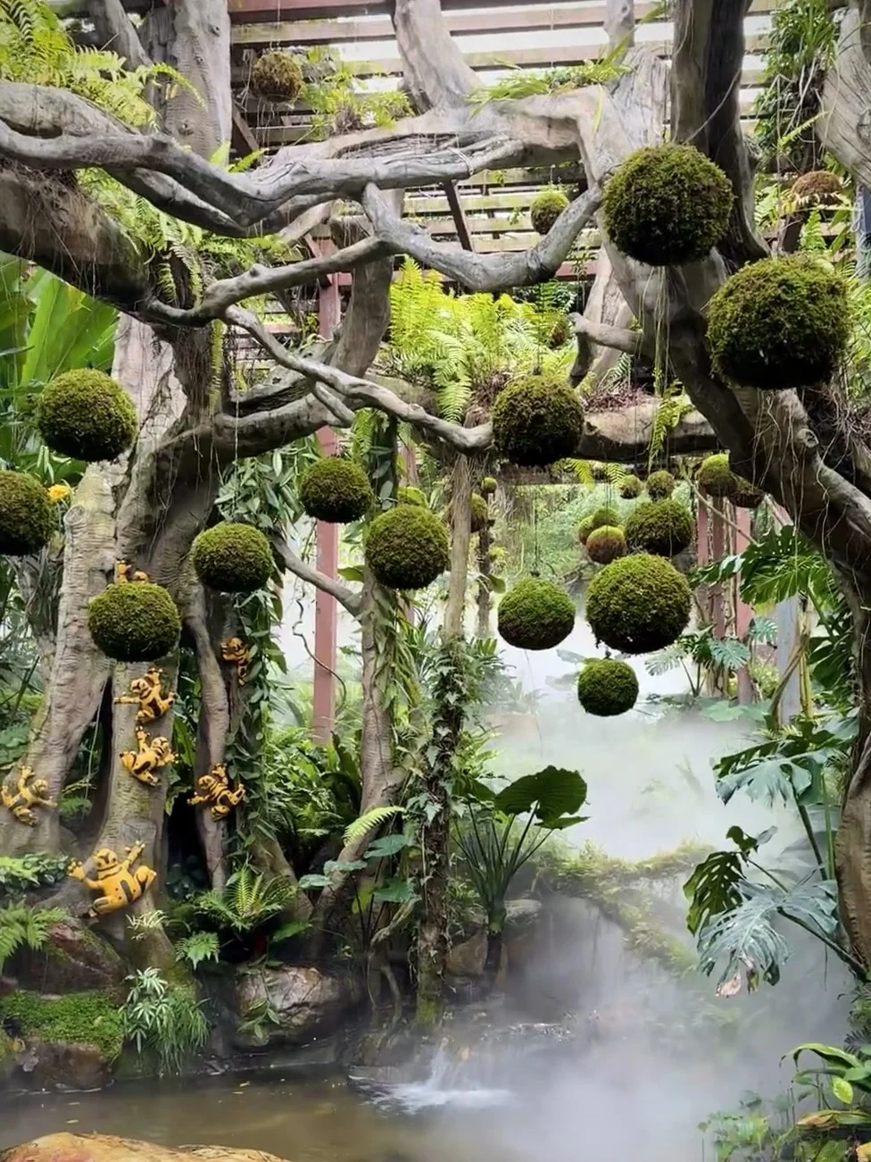 去了南宁7次，我的建议是。。。