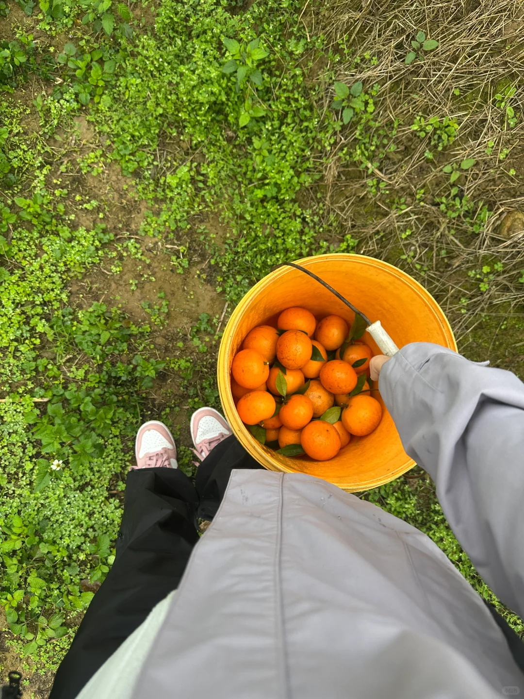 🌆北京✈南宁 | 两天一夜超嗨吃玩全记录✨