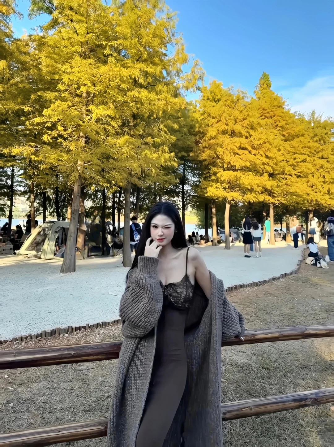 灵龟山｜在南宁拍到了黄色的秋天🍂