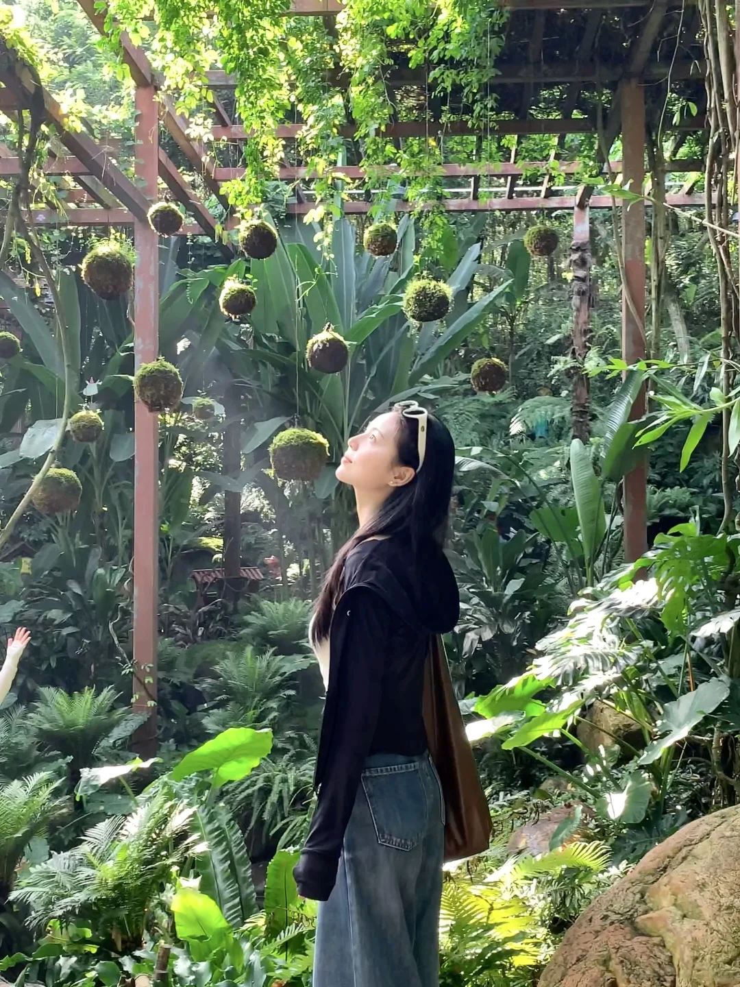 南宁青秀山｜不小心闯进热带雨林啦！🌴