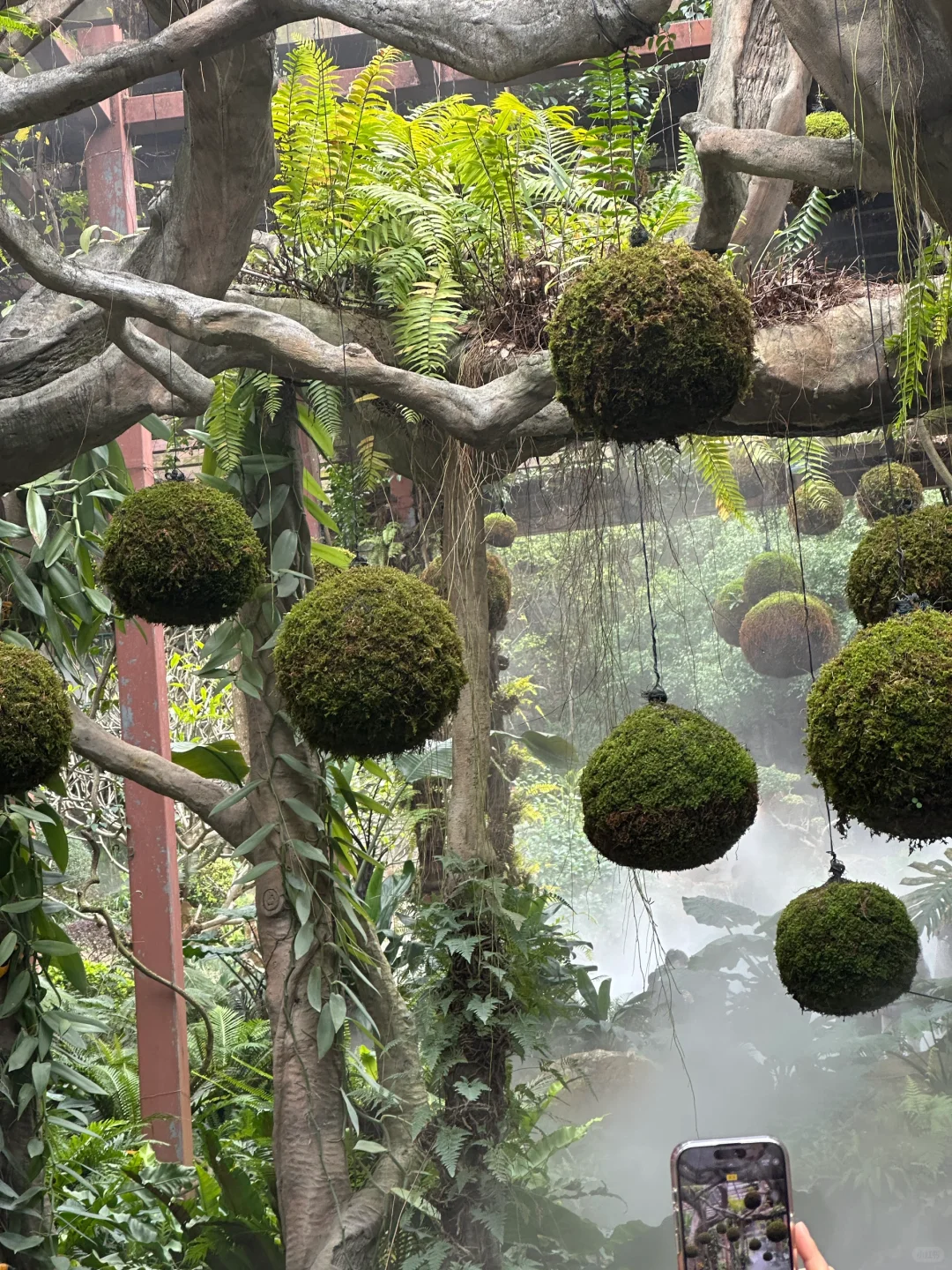 🌆北京✈南宁 | 两天一夜超嗨吃玩全记录✨