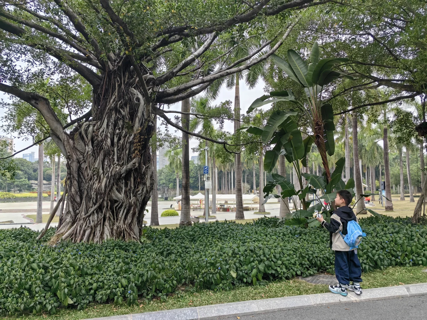 南宁怎么这么好啊！！！不想走了！！