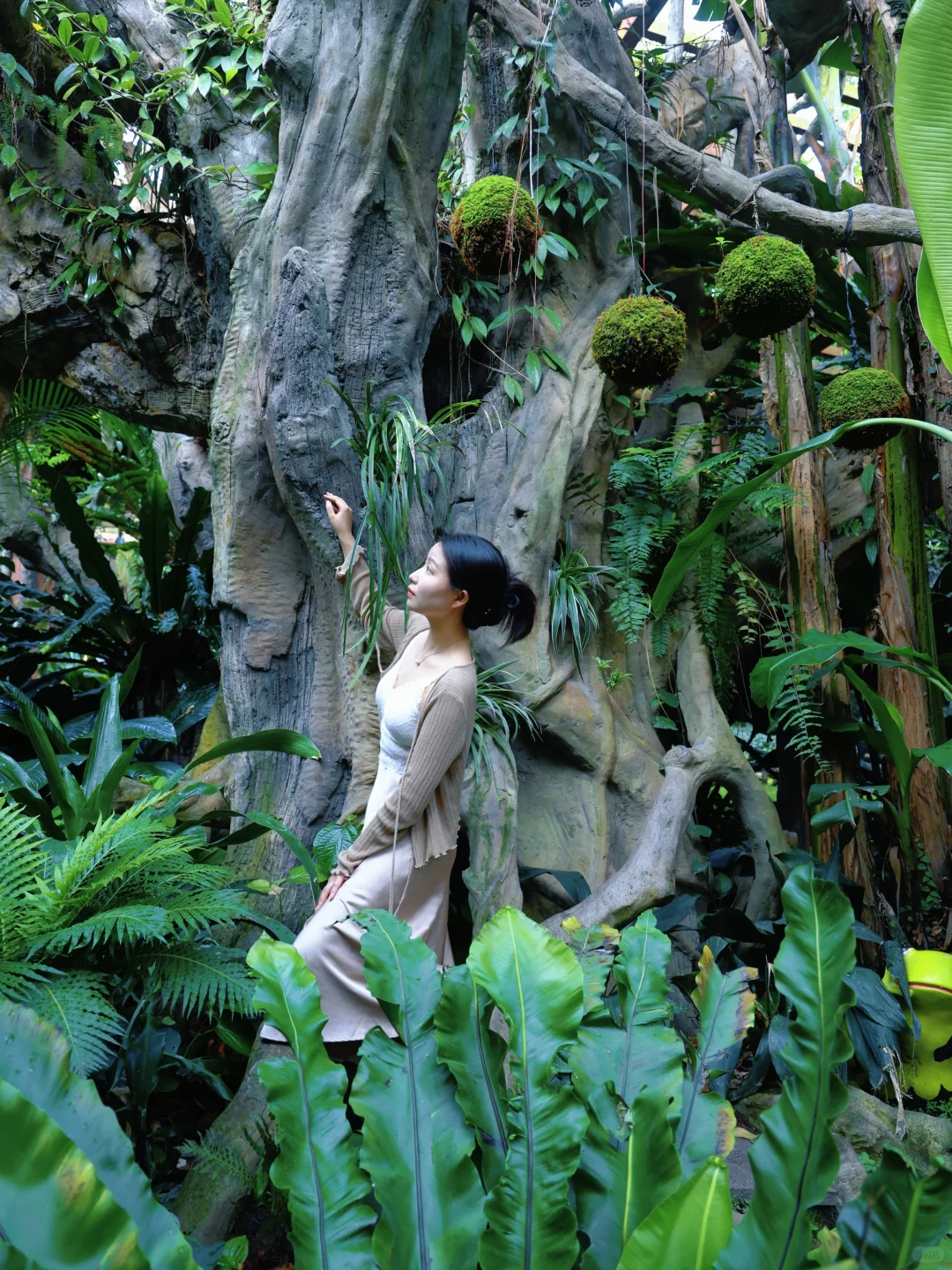 【青秀山】最大的骗局就是它的名字