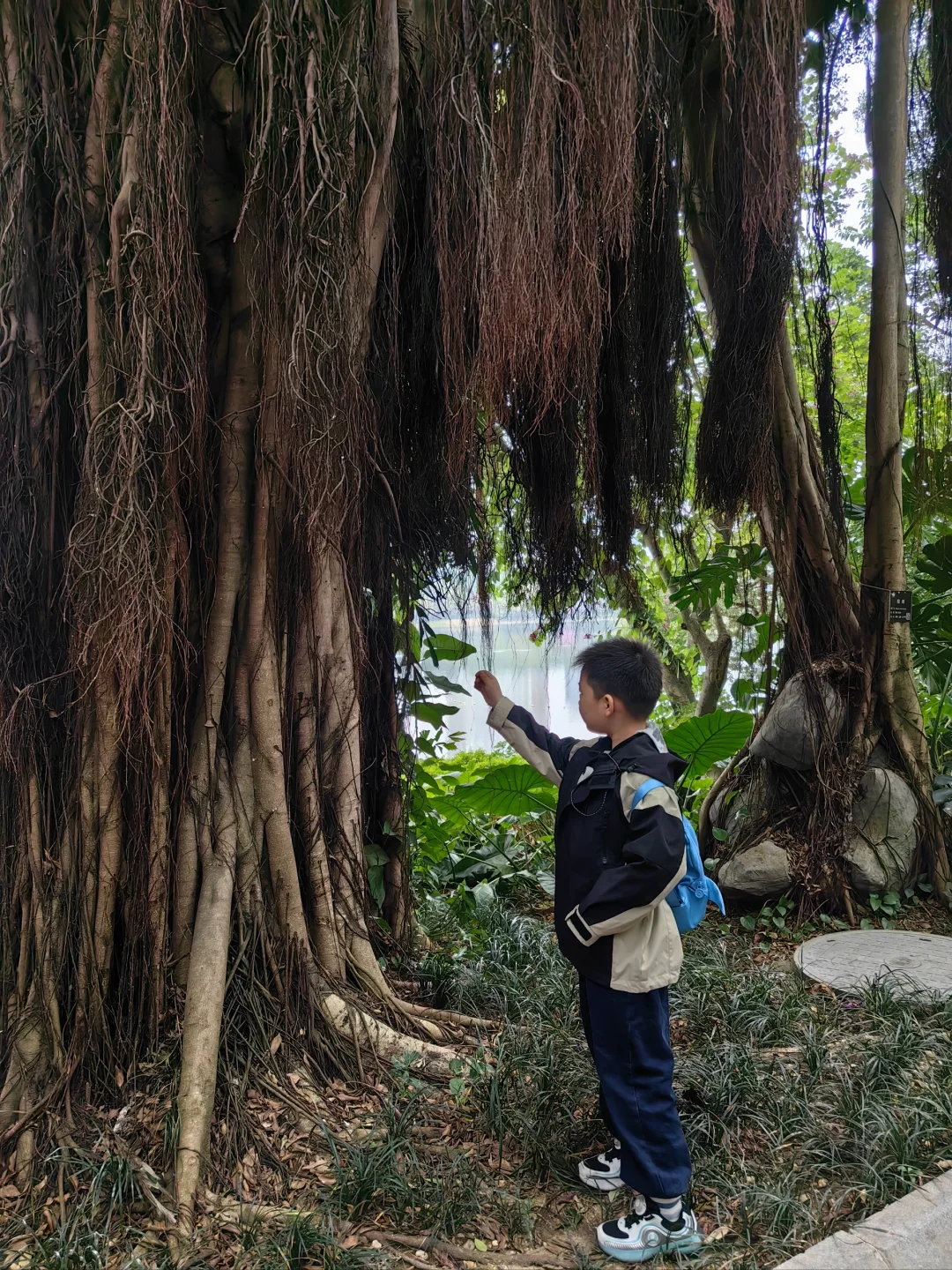 南宁怎么这么好啊！！！不想走了！！