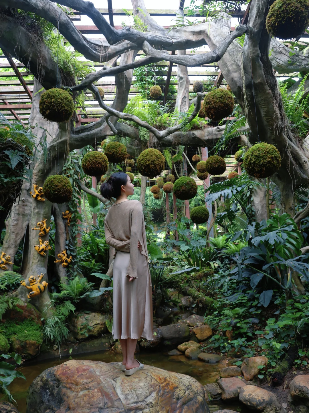 【青秀山】最大的骗局就是它的名字