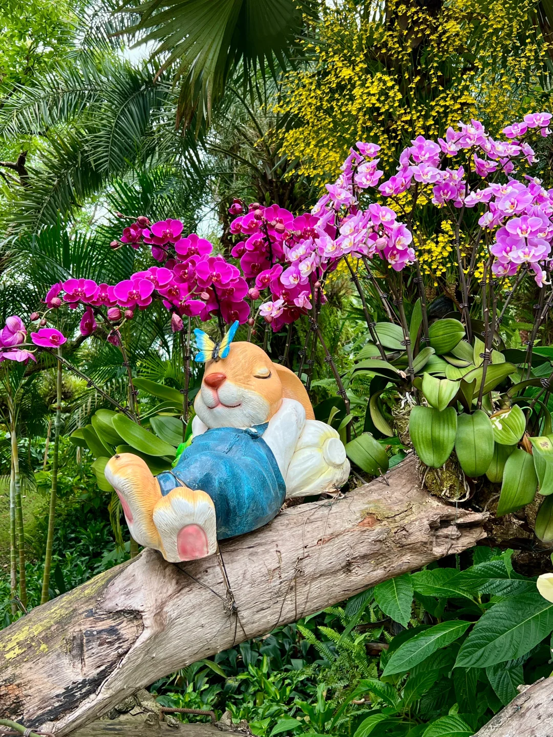 南宁3天2晚攻略（给朋友版本）