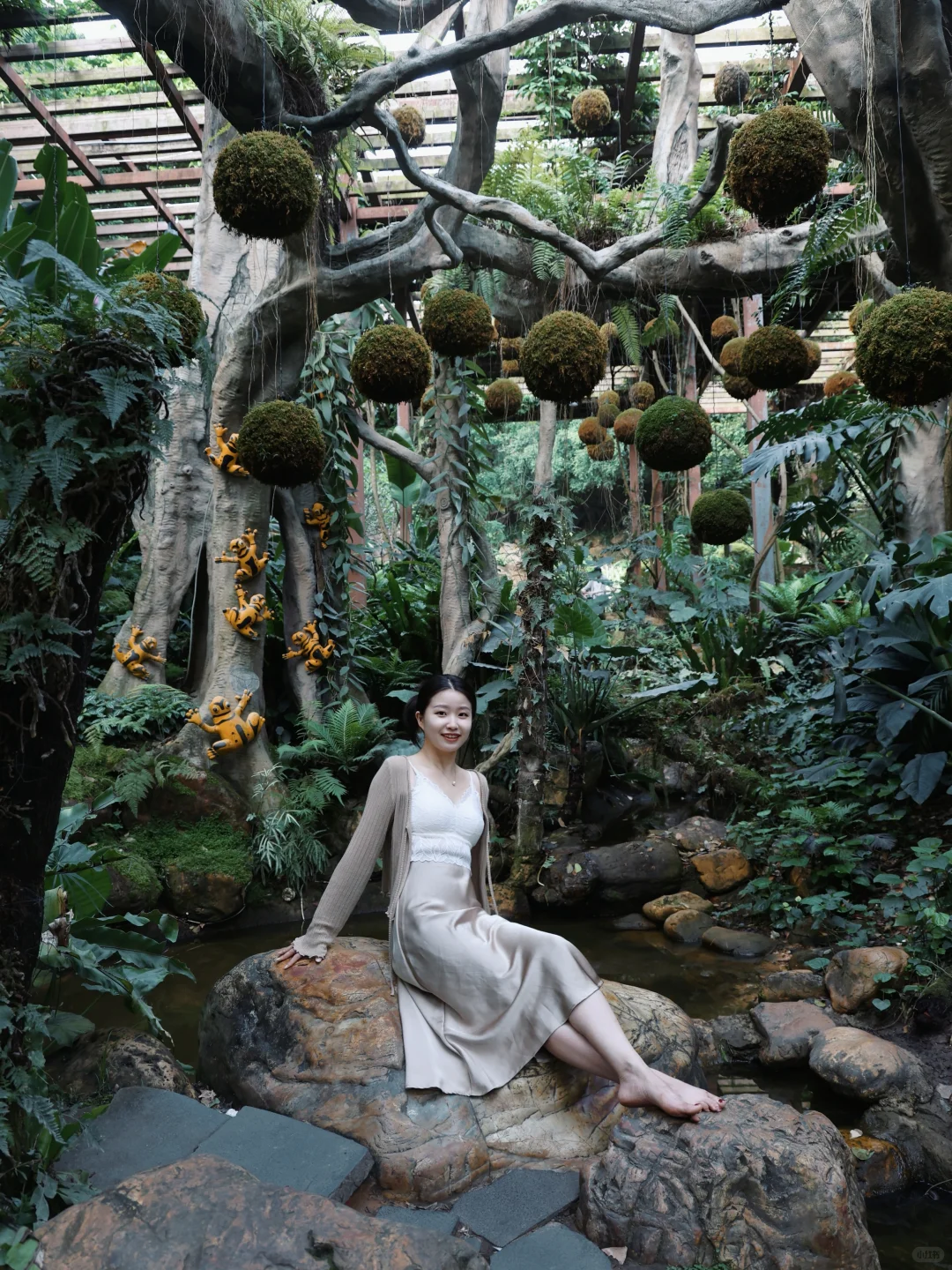 【青秀山】最大的骗局就是它的名字