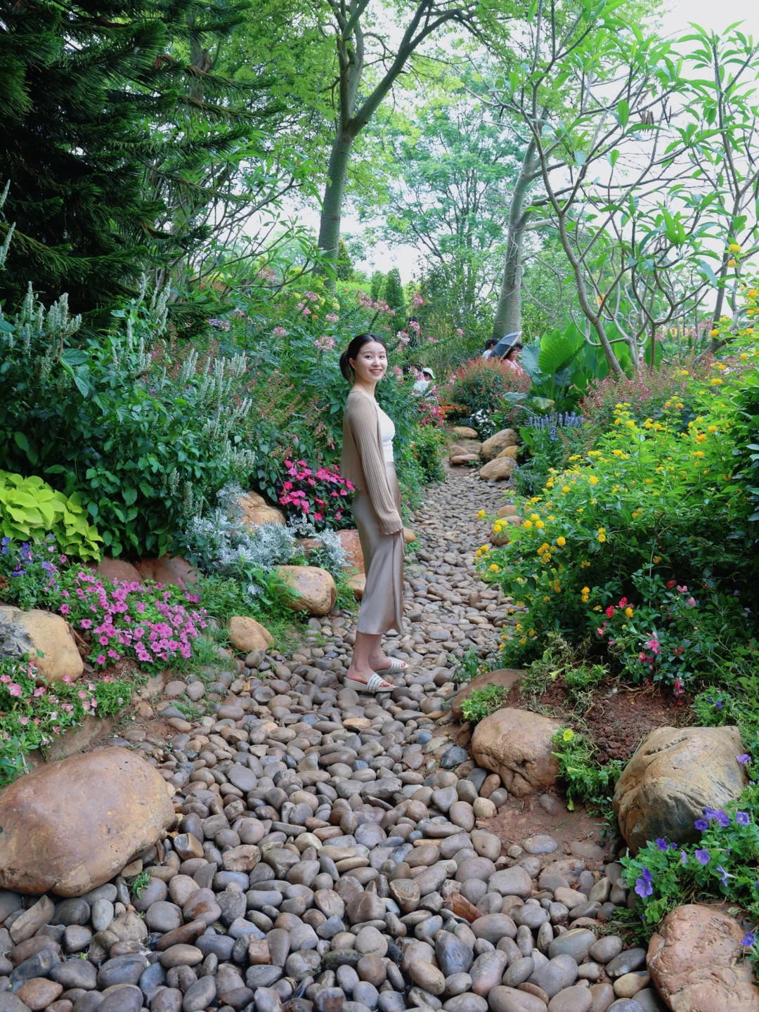 【青秀山】最大的骗局就是它的名字