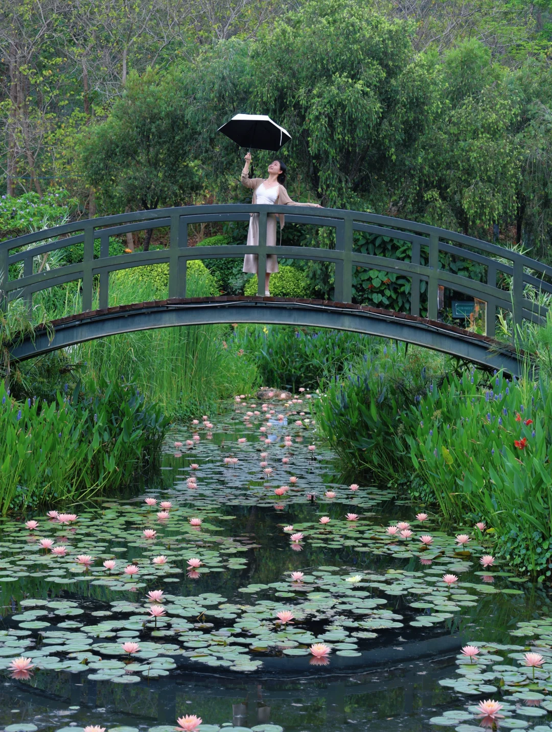 【青秀山】最大的骗局就是它的名字