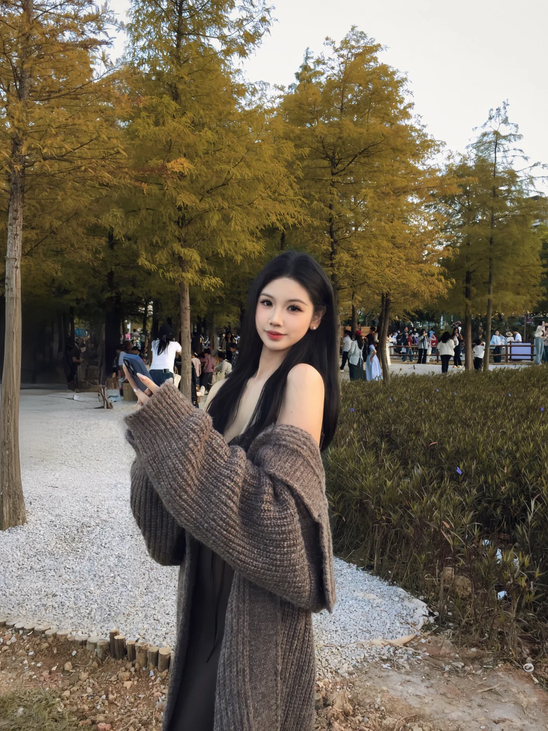 灵龟山｜在南宁拍到了黄色的秋天🍂