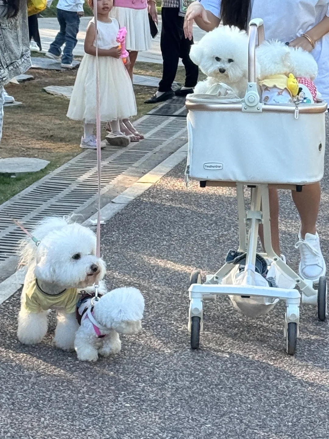 灵龟山｜在南宁拍到了黄色的秋天🍂