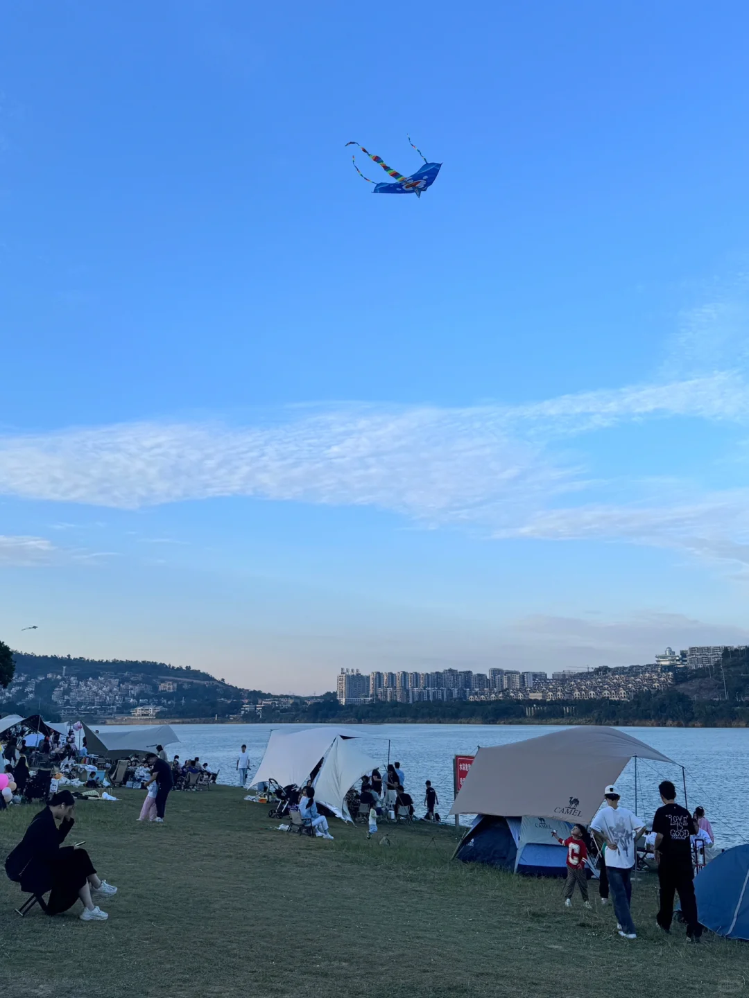 灵龟山｜在南宁拍到了黄色的秋天🍂