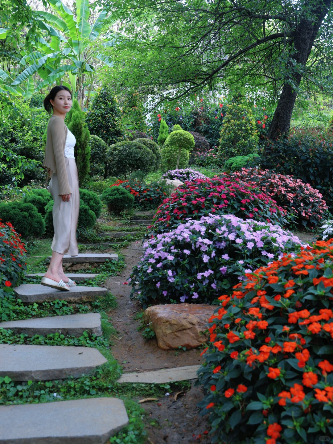 【青秀山】最大的骗局就是它的名字